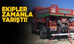 Yangının ağaçlara sıçramaması için yoğun mücadele