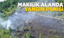 İlçede makilik alanda yangın çıktı