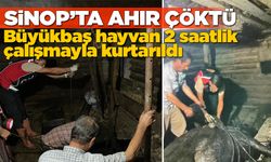 Sinop’ta ahır çöktü