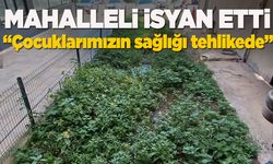 Gelincik Mahallesi'nde kanalizasyon sorunu çözüm bekliyor