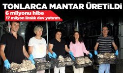 Sinop'ta kadın girişimciler el ele verdi