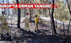Sinop'ta orman yangını: 8 dönüm alan zarar gördü