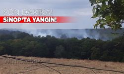 Sinop’ta ot yangını: Ekipler harekete geçti
