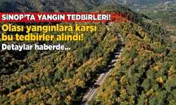 Sinop’ta orman yangını tedbirleri açıklandı