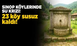 Sinop köylerinde su krizi: Uzun süredir sular akmıyor!