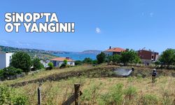 Sinop’ta arazi yangını
