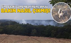 Sinop'taki yangından ilginç detay ortaya çıktı