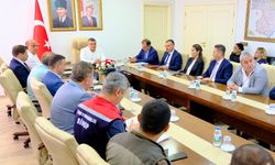 Sinop'ta sokak hayvanları için yol haritası belirlendi