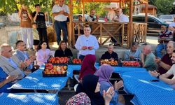 Gazidere Domatesi hasadı başladı