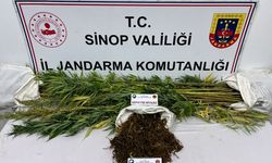 Sinop'ta narkotik operasyonu: 1 zanlı yakalandı