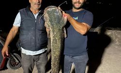 153 santimetre uzunluğunda yayın balığı avlandı