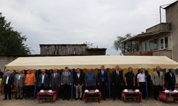 "Arsin Foşa fındığı" hasadı başladı