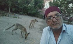 Bahçesine gelen tilkileri besledi