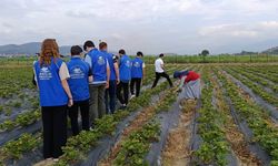 Gençler tarımsal üretimi yerinde inceledi