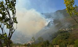 Ormanlık alanda çıkan yangına müdahale ediliyor