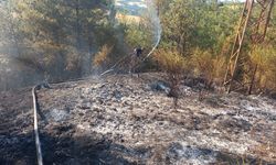 Sinop'taki orman yangınına müdahale ediliyor