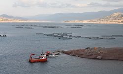 Tokat'tan yurt dışına balık ihracatı