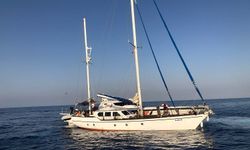 115 düzensiz göçmen yakalandı