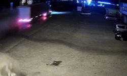 2 kişinin öldüğü kaza güvenlik kamerasına yansıdı