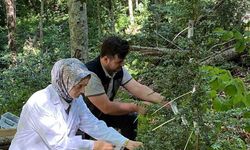 5 bin faydalı böcek doğaya salındı