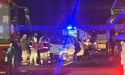 Aniden yola çıkan domuz kazaya neden oldu