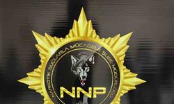 Narkotik operasyon: 7 şüpheli yakalandı