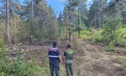Sinop’ta jandarma ekipleri orman yangınlarına karşı teyakkuzda