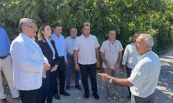 Sinop'ta kaçak kullanıma darbe: Köylerde sayaçlı su dönemi