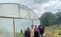 Sinop’ta modern seraların kurulumu tamamlandı
