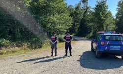 Sinop’ta ormanlık alanda ateş yakanlara cezai işlem uygulandı