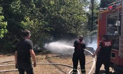 Zonguldak'ta ormanlık alanda yangın