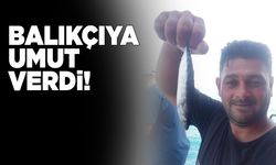 Sinop’ta erken görünen palamut balıkçıya umut verdi
