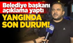 Sinop'ta orman yangınına müdahale sürüyor