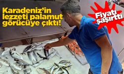 Sinop'ta palamut tezgahta yerini aldı