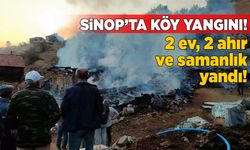 Sinop’ta yangın: Büyükbaş hayvan yanarak telef oldu
