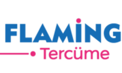 İstanbul Medikal Sözlü Tercüme | Flamingo Tercüme