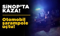 Sinop’ta kaza: Yoldan çıkıp şarampole devrildi