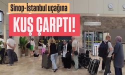 Sinop-İstanbul seferi 'Kuş Çarpması' sonucu ertelendi