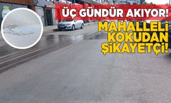 Sinop’ta taşan rögar müdahale bekliyor