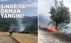 Ormanlık alanda yangın paniği
