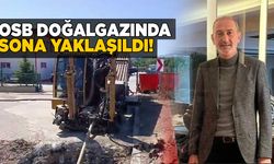 Sinop OSB’de doğalgaz hayali gerçek oluyor