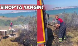Sinop'ta otluk arazide yangın