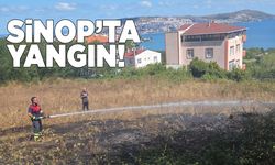 Sinop'ta otluk alanda yangın çıktı
