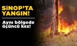 Aynı bölgede bir haftada üçüncü yangın!