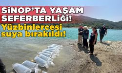 Sinop’ta tatlı su yaşamına destek