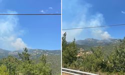 Ormanlık alandan dumanlar yükseldi