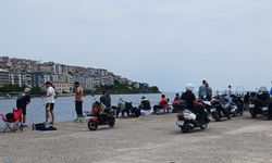 Balıklar kıyıya vurdu, vatandaş sahile akın etti