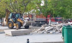 Sinop’ta çay bahçesi için çalışmalar sürüyor