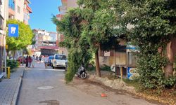 Kopmak üzere olan dal tehlike oluşturuyor