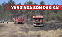 Sinop'taki orman yangınında son durum ne?
